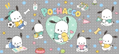 16oz Sanrio-K 889